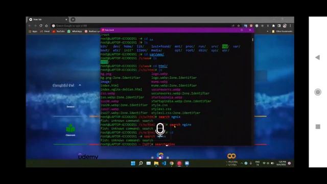 nginx | hosting website in local machine | Linux Minimal Terminal | Server смотреть онлайн