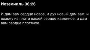 День 233.  Библия за год. С митрополитом Иларионом.