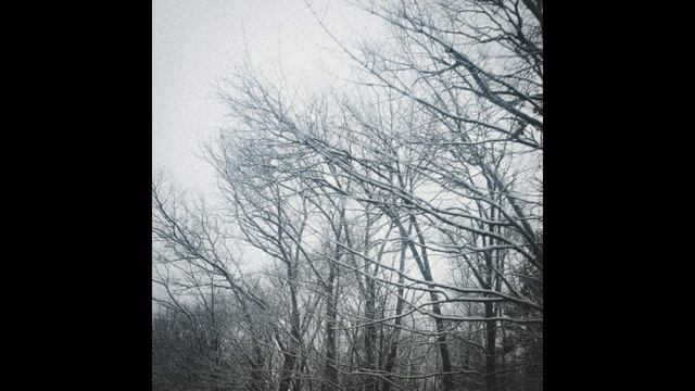 (FREE) LORD APEX X MAC MILLER TYPE BEAT "FLY" смотреть онлайн