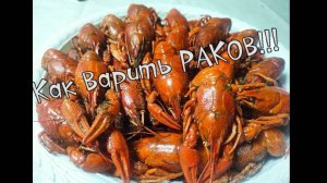 Как правильно сварить раков. Классический рецепт вареных раков.