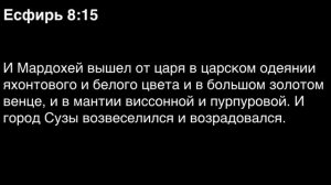День 141. Библия за год. С митрополитом Иларионом.