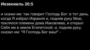 День 228. Библия за год. С митрополитом Иларионом.