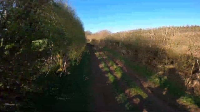 GoPro Quik. смотреть онлайн
