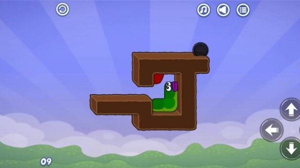 10 level of apple worm