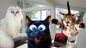 SCHOOLBOY RUNAWAY!!!  Василиса и Чика Играют в СКУЛБОЙ РАНЕВЕЙ в РЕАЛЬНОЙ ЖИЗНИ! Никиса в ШОКЕ!!!