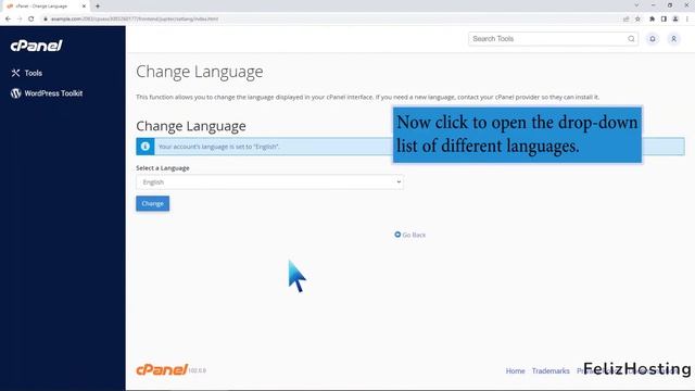 How to change the language in cPanel with FelizHosting смотреть онлайн