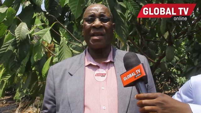 BALOZI wa NAMIBIA ATINGA TANZANIA, AJA na UJUMBE MZITO KWA SERIKALI ZAO LA KOKOA.. смотреть онлайн