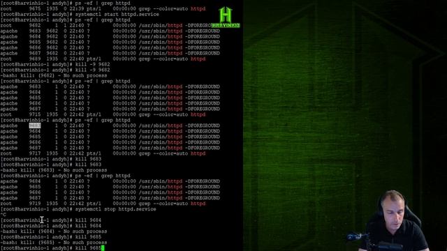 Late Night Linux Basics Test Stream смотреть онлайн