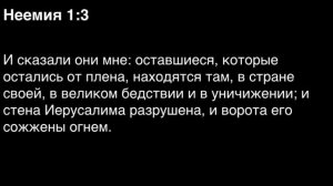 День 124. Библия за год. С митрополитом Иларионом.