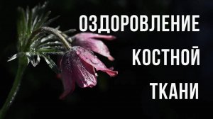 Медитация на оздоровление костной ткани. Бесплатные медитации