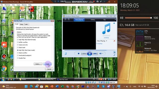 Windows Vista BSOD VM #21 смотреть онлайн