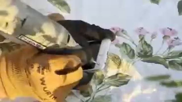 NEW Iphone 6 проблема решена!!! смотреть онлайн