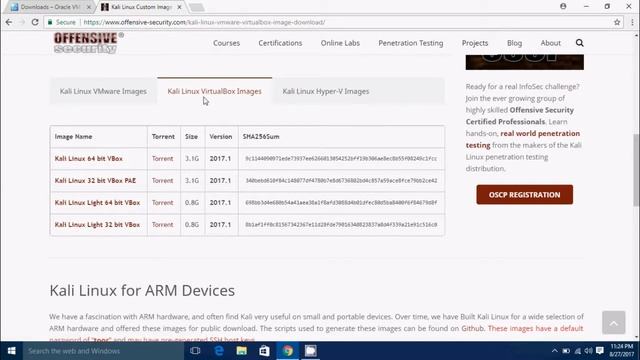 How to start hacking Urdu/Hindi смотреть онлайн