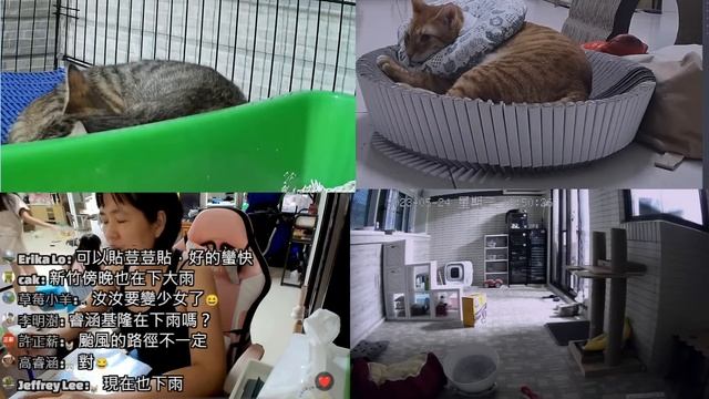【直播】阿金最壞可能要手術&粉寄ft.Joanne 詩筠 慧如 20230524 (MiMi醬&黑妞&阿金&歐戀&阿虎) смотреть онлайн