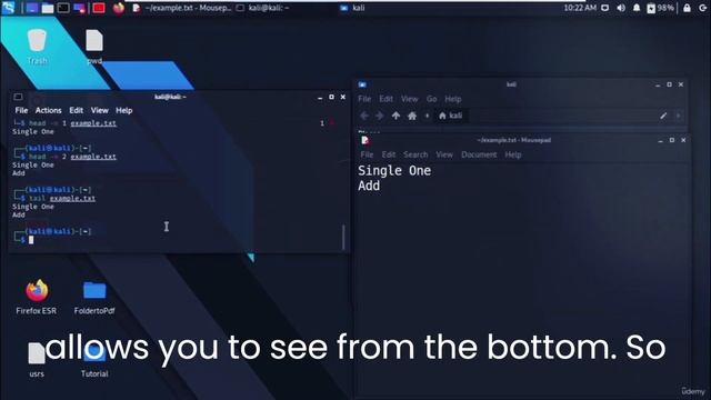EXPLAINED IN DETAIL | | #4 (cat) Show File Contents | LINUX 2022 command line tutorial смотреть онлайн