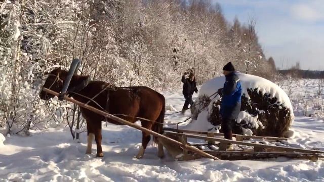 Прокатка на санях смотреть онлайн