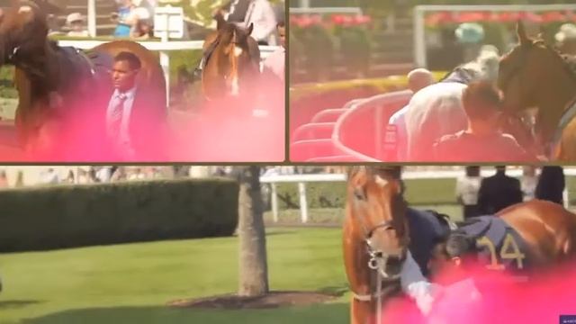 The Royal Enclosure  Royal Ascot 2019 - 1