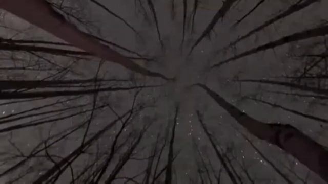 Grimes - Genesis [Video Edit Class Project - p1] смотреть онлайн