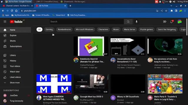 OBS Studio Recording Test On My Linux Virtual Machine! смотреть онлайн