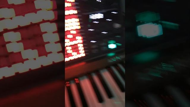 Arturia Matrixbrute in action смотреть онлайн