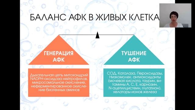 Запись вебинара, 17 августа 2017 г. смотреть онлайн