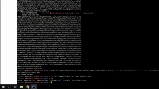 How to install an SSL on NGINX | SSLs.com Tutoria смотреть онлайн