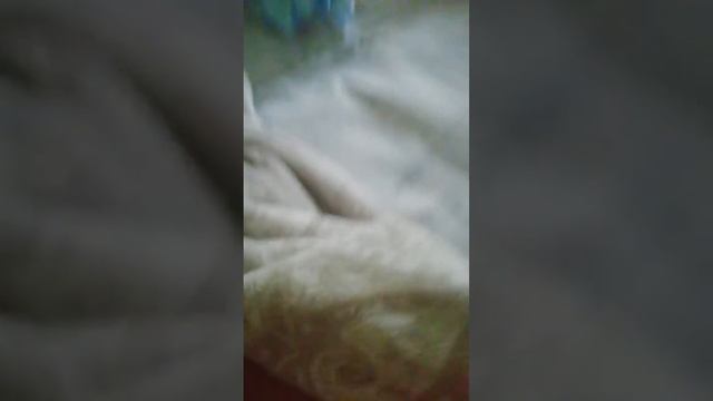 dostup za Canon смотреть онлайн
