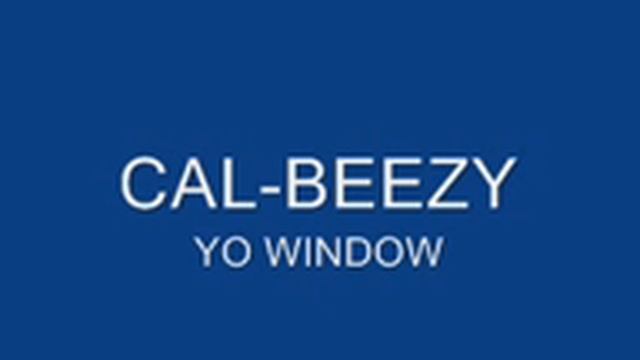 CAL-BEEZY TURT-TEEZY:YO WINDOW смотреть онлайн