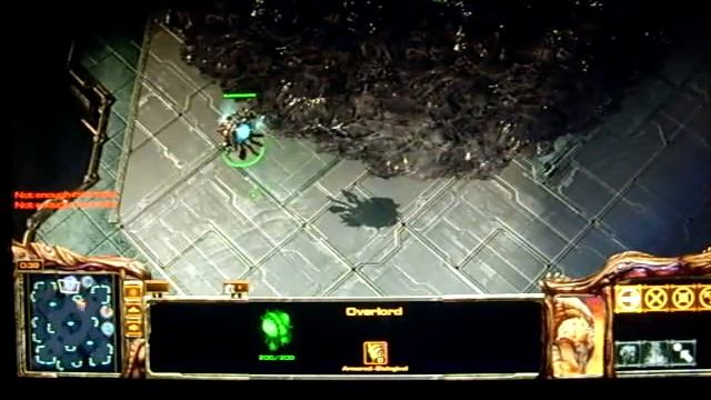 Starctaft2 freezes pc with buzzing noise win 7x64 смотреть онлайн