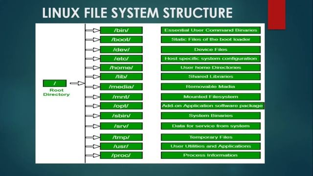 LINUX FILE SYSTEM STRUCTURE смотреть онлайн