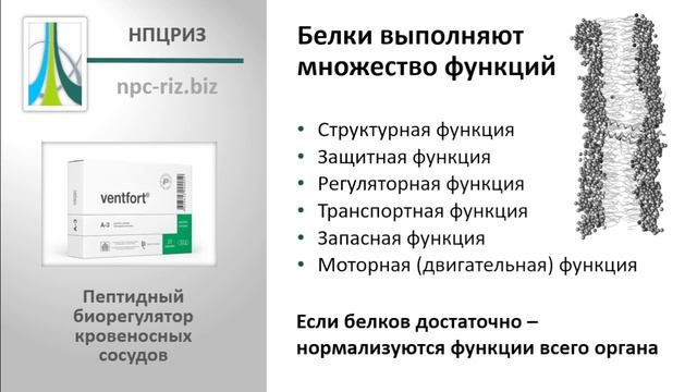 Вентфорт смотреть онлайн