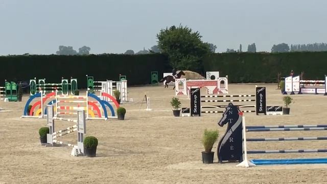 Kolonel Cento - 6yo - Calvaro x Cento x Avontuur смотреть онлайн