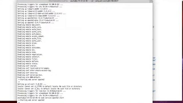 nagios lamp setup смотреть онлайн