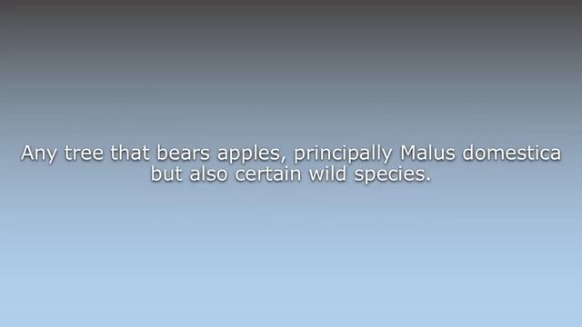 What does Apple tree mean? смотреть онлайн