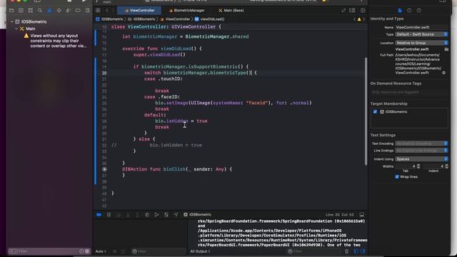 Implement Face ID in IOS with UIKit смотреть онлайн