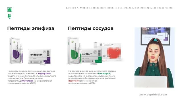 Влияние пептидов на созревание нейронов из стволовых клеток (процесс нейрогенеза) смотреть онлайн