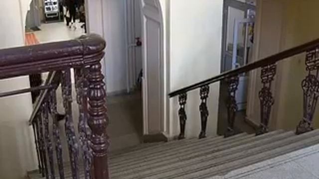 СТИПЕНДИИ МВД. смотреть онлайн