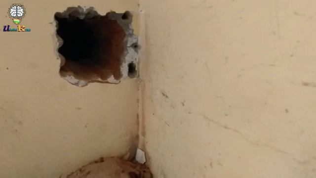 New motor fitting || compressor motor смотреть онлайн