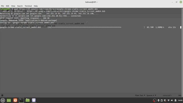 install google chrome on linux смотреть онлайн