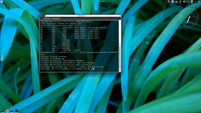 Youtube-dl ~ Youtube Downloader di Linux смотреть онлайн