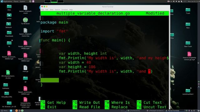 How to Create Multiple variable declaration with Golang on Parrot Security Linux смотреть онлайн