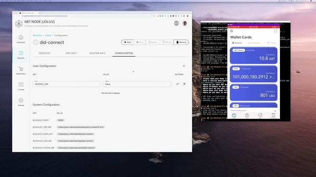 Setup DID:CONNECT using ABT Node смотреть онлайн