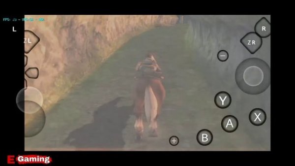 Dolphin Kuroi(Nintendo GameCube and Wii Emulator) Android