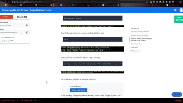 Linux Assignment 1 || Courseera Google IT Support 3 смотреть онлайн