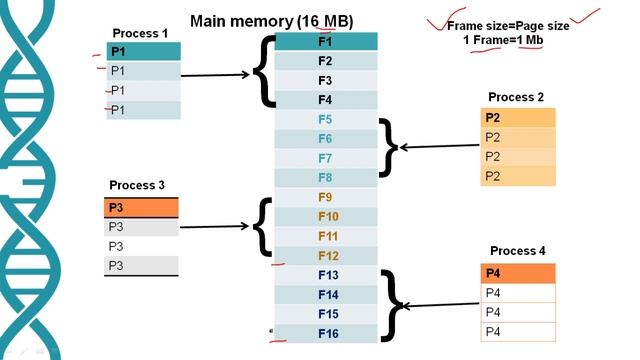 Paging in memory management in operating system {हिंदी में}, #easyelectronic4you смотреть онлайн