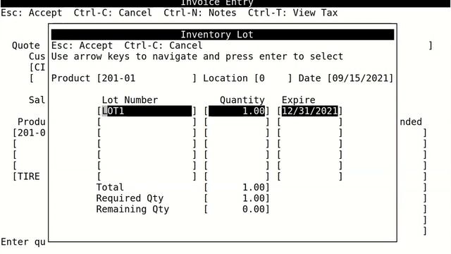 Stansoft - Sales Invoice Entry смотреть онлайн