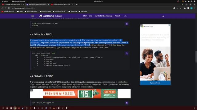 384 what is the PPID in linux? смотреть онлайн