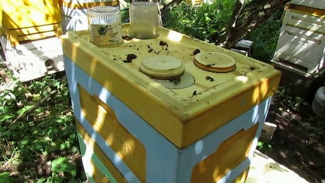 пчеловодство на ячейке 4,9 мм - часть 13, отводок с пчелой бакфаст, расширение смотреть онлайн