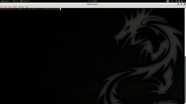 Kali - Randomized MAC Spoofing смотреть онлайн