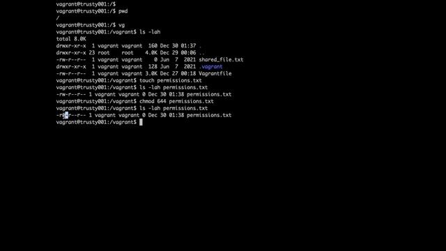 Linux Permissions With chmod смотреть онлайн